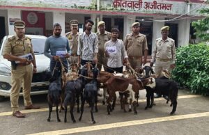 शातिर चोरों को गिरफ्तार कर, कब्जे से चोरी का माल व बकरे बरामद