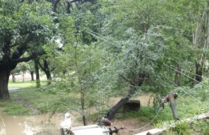 लगातार बारिश से गिरा विद्युत पोल, दर्जनों घरों में अंधेरा