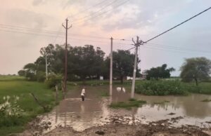 नहर के पानी से गांव में हुआ जलभरावकिसानों का खेतों तक पहुंचना हुआ दुश्वार