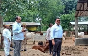 जिलाधिकारी ने अस्थायी गोवंश आश्रय स्थल बगाही का किया स्थलीय निरीक्षण