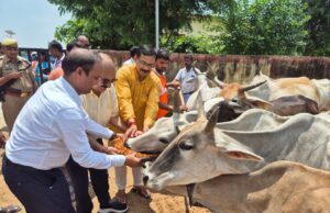 डीएम ने श्रीकृष्ण जन्माष्टमी पर्व पर गौ आश्रय स्थलों में पंहुच कर किया गौ माता का पूजन