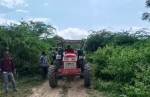 रेंन्जर हरिकिशोर शुक्ला की अगुवाई में फिर हुआ अवैध कटान का कारोबार शुरू