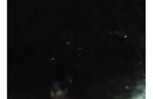 चंद्रप्रभा नदी में ऑटो बहा, महिला की मौत, 5 लोग सुरक्षित बचे