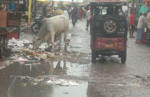 बढ़नी में सफाईकर्मियों की हड़ताल से चरमराई व्यवस्था, चट्टी बाजार में कूड़े का अंबार