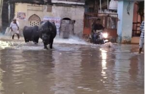 यमुना का बढ़ता जलस्तर बना संकट, गलियों तक घुसा पानी, जनजीवन अस्त-व्यस्त