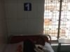 दस वर्षीय बच्चे को सांप ने डसा, इलाज जारी