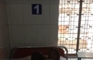 दस वर्षीय बच्चे को सांप ने डसा, इलाज जारी