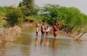 गंगा-पांडु नदी में फिर से बाढ़ के हालात, 15 गांव डूबे और 4 हजार बीघा फसल बर्बाद