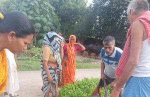नगला भगवत में नाले में गिरी भैंस, ग्रामीणों ने घंटों की मशक्कत से बचाई जान