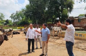 गौशालाओं की व्यवस्थाएं सुधारें, लापरवाही बर्दाश्त नहीं