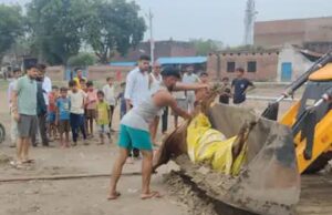 दुर्गा कमेटी ने कराया मृत गोवंश का अंतिम संस्कार