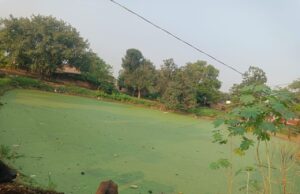 खंभा और तार तालाब में गिरे, 10 दिनों से आपूर्ति ठप