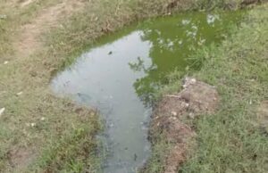 नरौली गांव में घुसा गंगा का पानी, आवागमन बाधित