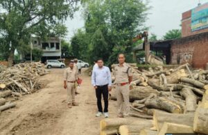 वन विभाग की संयुक्त टीम ने किया लकड़ी के अवैध भंडारण पर छापा, संचालकों में मचा हड़कंप