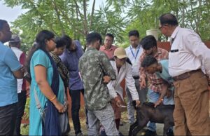 व्यावसायिक गाय, बकरी एवं भैंस पालन का व्यावहारिक प्रशिक्षण