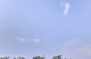 नन्हे फुटबॉलरों ने राज्य स्तरीय फुटबॉल प्रतियोगिता का खिताब जीत कर रचा इतिहास