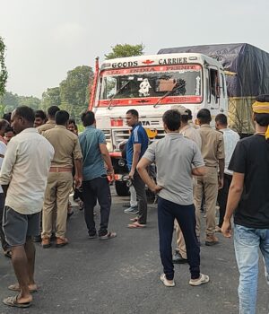 सड़क की पटरी पर ट्रक धंसने से बच गई 28 बेजुबान मवेशियों की जान
