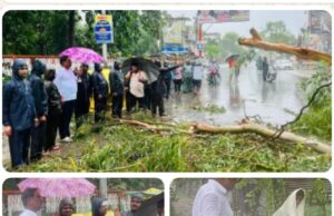बारिश की परवाह न कर नपा अध्यक्ष प्रतिनिधि राकेश जायसवाल ने कराया राहत कार्य