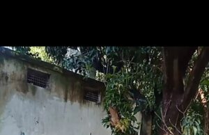 चकमार्ग रास्ते पर हो रहा अवैध निर्माण कार्य,इलाकाई पुलिस उदासीन