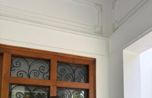 पर्यावरण एवं जीव सरंक्षण तथा शैक्षिक क्षेत्र में योगदान के लिए अंबिका मिश्र हुए सम्मानित