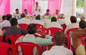 नैनों डीएपी उपयोग के लिए दिया विस्तार से जानकारी दी जानकारी