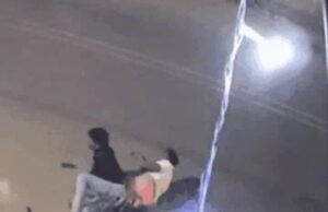 हिट एंड रन का मामला आया सामने, तेज रफ्तार बोलेरो ने मारी टक्कर