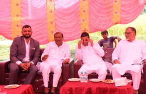 मोहम्मदपुर गौंती में तौसीफ नंबरदार के बेटे की शादी में जुटीं जिले की चर्चित हस्तियां