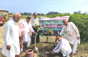 पौधरोपण कर वनाच्छादन की महत्वता पर हुई परिचर्चा