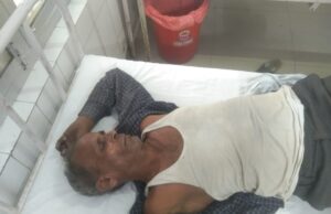 खेतों पर फसल काटने जा रहे किसान पर मधुमक्खियों ने हमला कर किया जख्मी