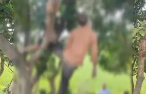 कटहल के पेड़ पर लटका मिला अधेड़ का शव