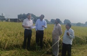 धान फसल की क्रॉप कटिंग का जिलाधिकारी ने किया प्रत्यक्ष निरीक्षण