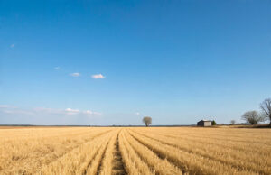 फसल अवशेष जलाने पर कड़ी निगरानी, बिना सुपर स्ट्रा सिस्टम के नहीं चलेगी हार्वेस्टर