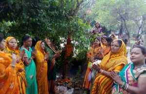 आंवला वृक्ष की पूजा कर मनाया गया अक्षय नवमी का पर्व