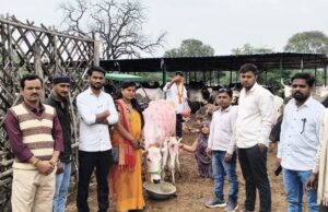 गोपाष्टमी के शुभ अवसर पर एक सप्ताह तक कार्यक्रम विभिन्न गौशाला में आयोजित किए जाएंगे