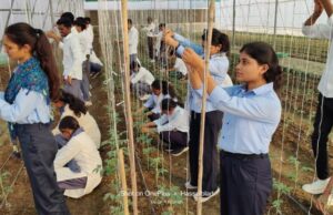 संरक्षित खेती पर तीन माह का प्रमाणपत्र प्रशिक्षण कार्यक्रम