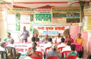 शरदकालीन गन्ने के साथ सहफसली खेती कर ले दोहरा लाभ वरिष्ठ महा प्रबन्धक गन्ना