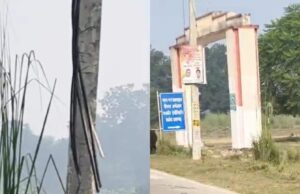 बिजली विभाग की रनिंग लाइन का एलटी केबल काट ले गए चोर