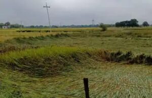 बुन्देलखण्ड राष्ट्र समिति ने खराब फसलों पर उठाई मुआवजे की मांग