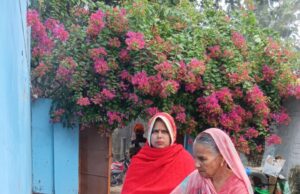 विधि-विधान से की गई मां तुलसी की पूजा
