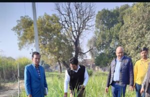 गन्ने के साथ लहसुन की खेती किसानों के लिए वरदान: ओपी गुप्ता