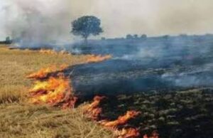 पराली जलाने पर प्रशासन सख्त, दो हार्वेस्टर सीज व कई किसानों पर जुर्माना