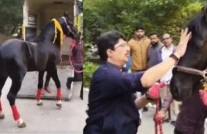 राजा भइया के अस्तबल में शामिल हुआ ‘ट्रोजन’, टीका लगाकर किया स्वागत