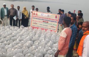 विश्व मात्स्यिकी दिवस पर आयोजित किया गया रिवर रैचिंग एवं गोष्ठी