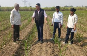 अगेती प्रजाति अपनाएं, बढ़े हुए मूल्य का लाभ पाएं: बघेल