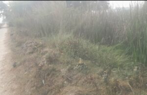 नहर की सिल्ट सफाई के नाम पर हो रही है महज खानापूर्ति: अजय सोनी