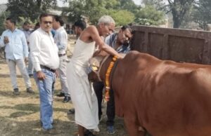 पशु आरोग्य मेला हरदासपुर में हुआ आयोजित