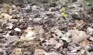 पलिया दुधवा रोड़ पर अवैध अस्पताल बना मौत का सौदागर