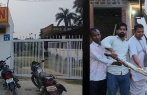 इस्कॉन मंदिर में घुसे 6 फीट के 10 किलो वजनी अजगर को देख डरे भक्तगण