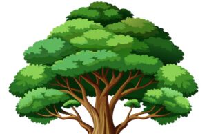 24 पेड़ो की होगी नीलामी