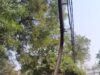 केबल के सहारे झूल रहा क्षतिग्रस्त पोल, विभाग बना धृतराष्ट्र